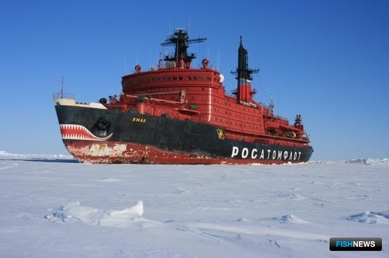 Перевозчики по Севморпути смогут заказать регулярные услуги ледокола Перевозчики по Севморпути смогут заказать регулярные услуги ледокола