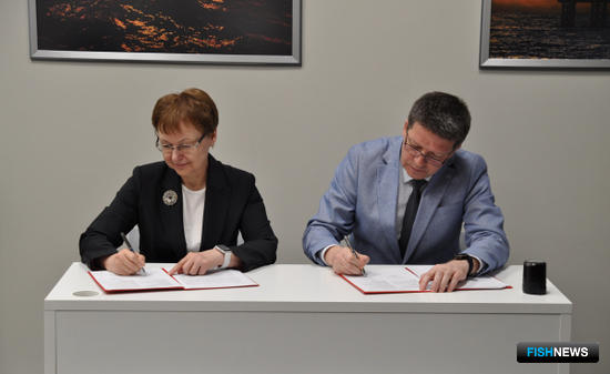 ПИНРО и Мурманский университет планируют совместную работу ПИНРО и Мурманский университет планируют совместную работу