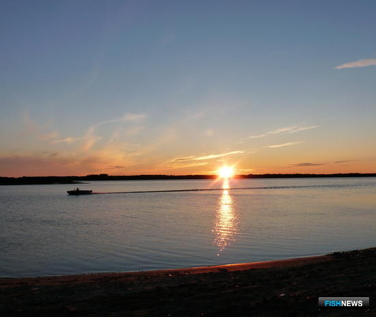 Низовья Печоры распределяют под рыбный промысел Низовья Печоры распределяют под рыбный промысел