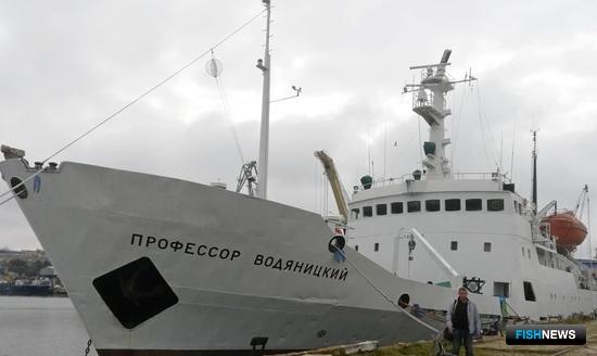 Ученые выяснят, как живется рыбам южных морей Ученые выяснят, как живется рыбам южных морей