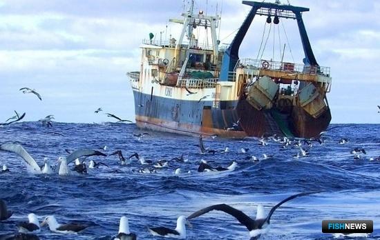 Востокгосплан нашел слабые места в отраслевой стратегии Востокгосплан нашел слабые места в отраслевой стратегии