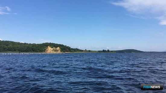 ГЭЭ для &laquo;морских огородов&raquo; могут отсечь &laquo;гильотиной&raquo;