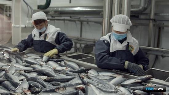 Камчатка блеснула рыбными проектами