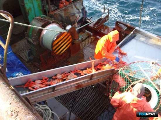 Остатки глубоководных крабов получили нового владельца