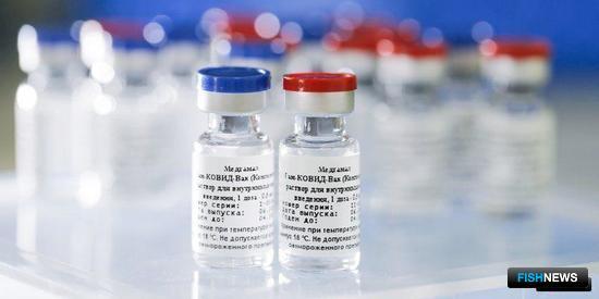 Прививки облегчат рыбе доступ в КНР Прививки облегчат рыбе доступ в КНР