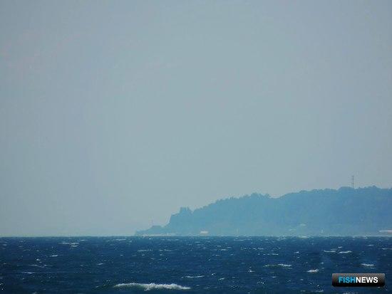 Акваторию под мариферму вблизи Сочи выставили на торги Акваторию под мариферму вблизи Сочи выставили на торги