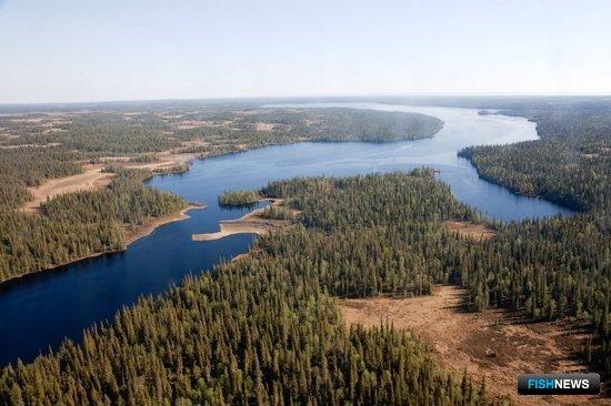 Лесной кодекс отразил особенности рыболовства