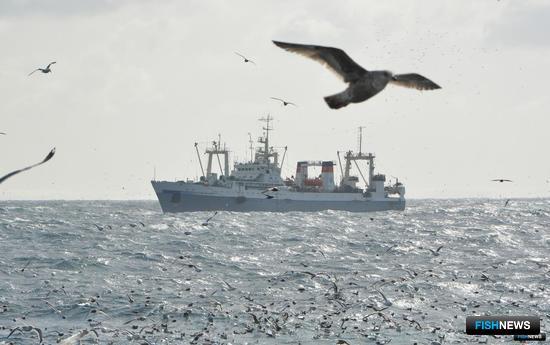 Рыбакам готовят закон об ЭПЖ и электронных разрешениях