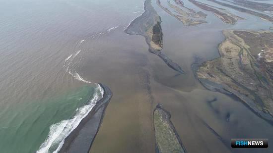 Нерка реки Камчатка изменила путь