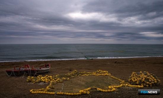 По промыслу лосося предложили дополнительные ограничения