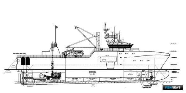 Охотники на краба
