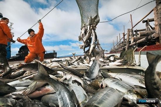 Хабаровский край приготовился к путине в северных районах