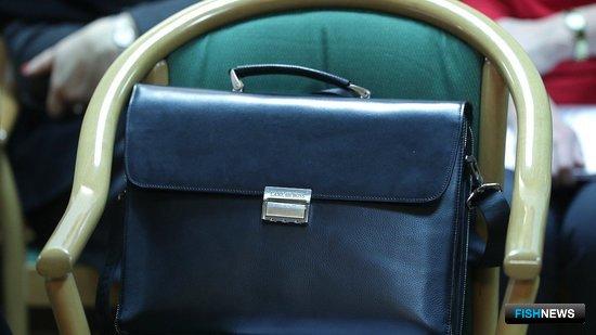 Депутаты одобрили изменения для «прибрежки» Депутаты одобрили изменения для «прибрежки»