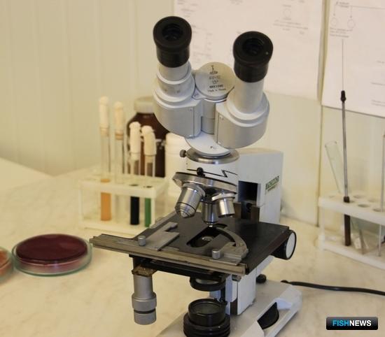 Исследования подтвердили безопасность уловов и районов промысла Исследования подтвердили безопасность уловов и районов промысла