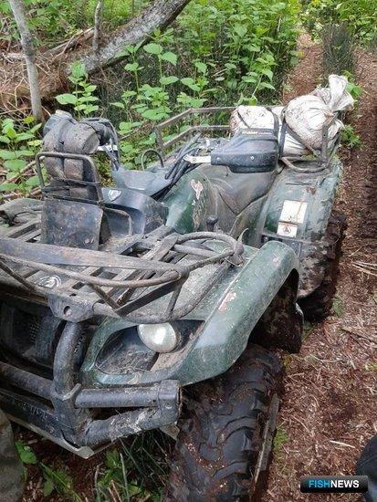 Квадроцикл не помог сбежать с браконьерской неркой