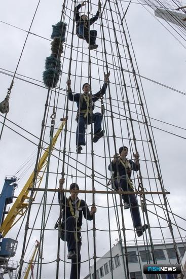 &laquo;Паллада&raquo; пройдет путями Беринга