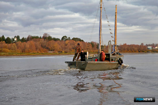 Участки на Ильмене предлагают промысловикам