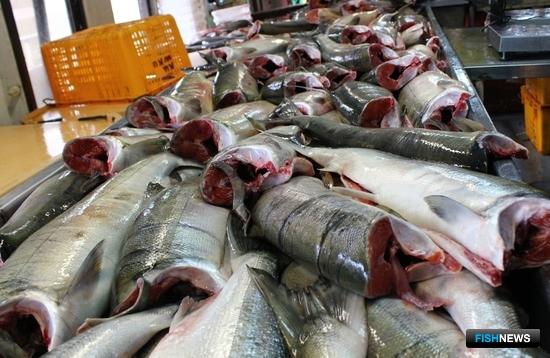 НЦБРП представил список для поставок в Китай