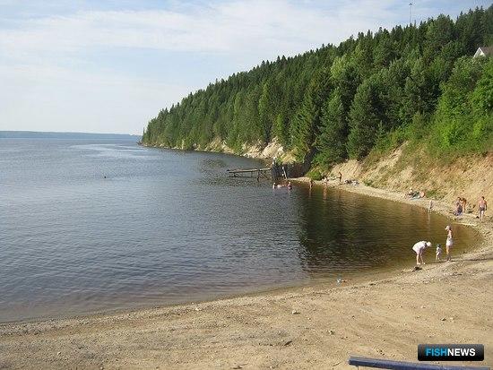 В бассейне Камы приготовили промысловые участки