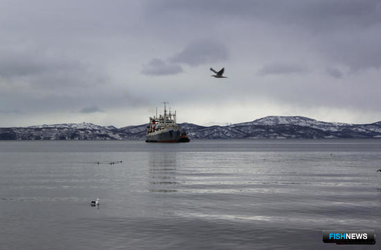 Власти обсуждают обязательную вакцинацию экипажей от коронавируса