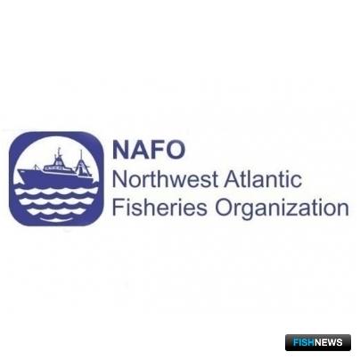 Научный совет НАФО рекомендовал квоты на будущий год