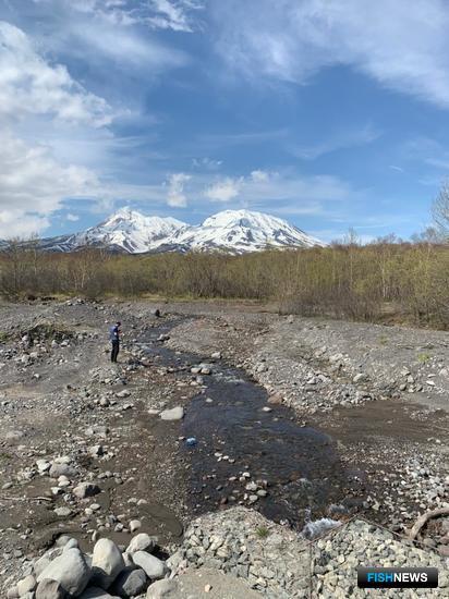 Ученые открыли проект по исследованию рек Камчатки