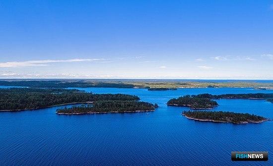 Рыбоводные участки Ленобласти разыграют на торгах