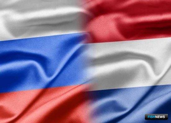 Рыбному экспорту в Нидерланды готовят электронную сертификацию