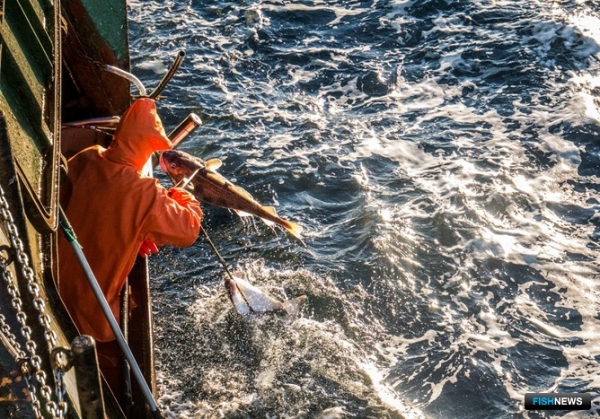 РК &laquo;Восток-1&raquo;: Промысел нового измерения