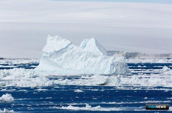 Россия подготовится к антарктическому промыслу