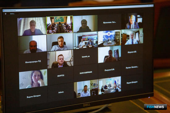 Общественный совет еще вернется к ленинградской корюшке