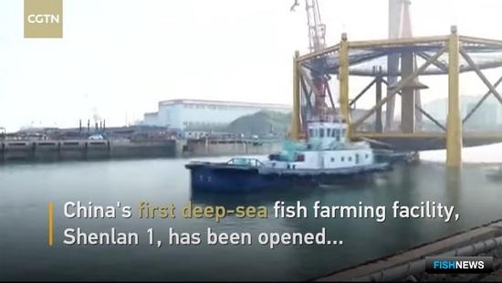 В Желтом море собрали первый урожай лосося