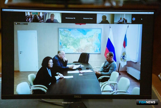 Общественный совет еще вернется к ленинградской корюшке