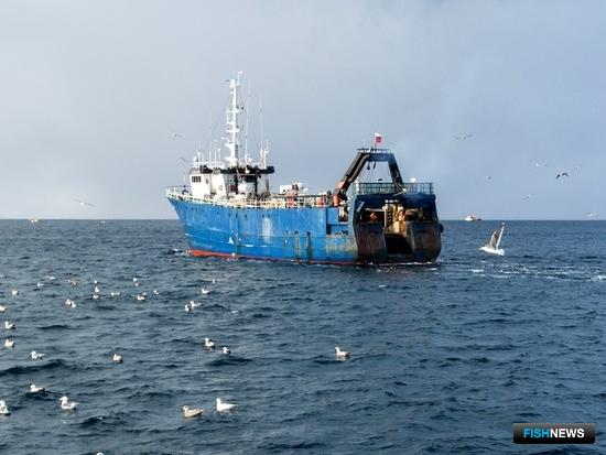 Базу для топливных субсидий обещают в этом году