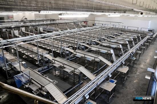 Переработка и холод: пора ли говорить о локализации?