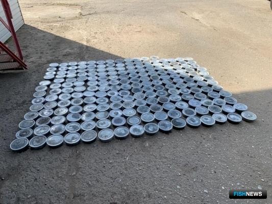 Икорных перекупщиков на Волге приняли силовики