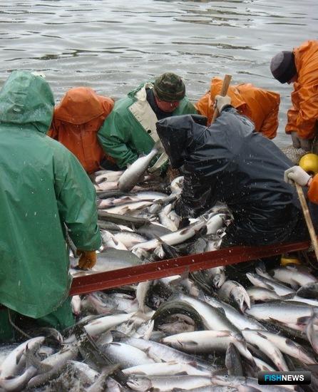 Путину Камчатки защищают от COVID-19