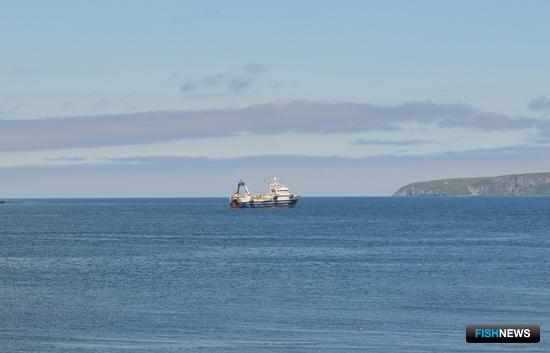 Все больше флота переходит на ССД