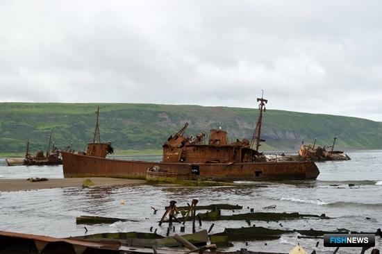 Россия присоединится к конвенции по уборке морей Россия присоединится к конвенции по уборке морей