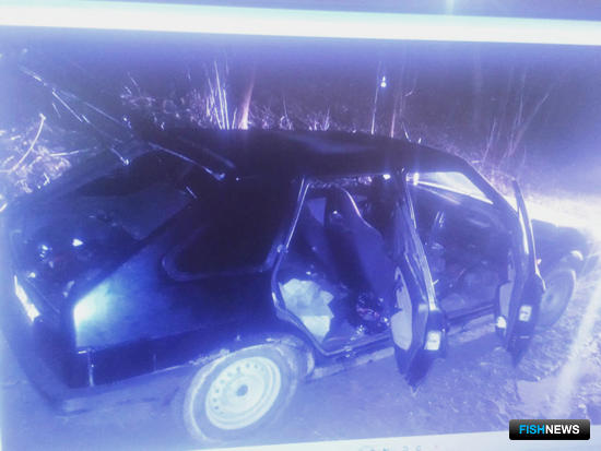 Форелекрадов из Северной Осетии ждет скамья подсудимых Форелекрадов из Северной Осетии ждет скамья подсудимых