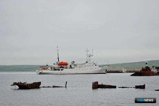 Брошенным судам готовят два федеральных закона