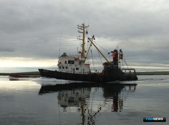 Ассоциация добытчиков лосося просит учесть особенности работы МРСов Ассоциация добытчиков лосося просит учесть особенности работы МРСов