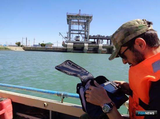 ГЭС Северного Кавказа проверяют на вред рыбе ГЭС Северного Кавказа проверяют на вред рыбе