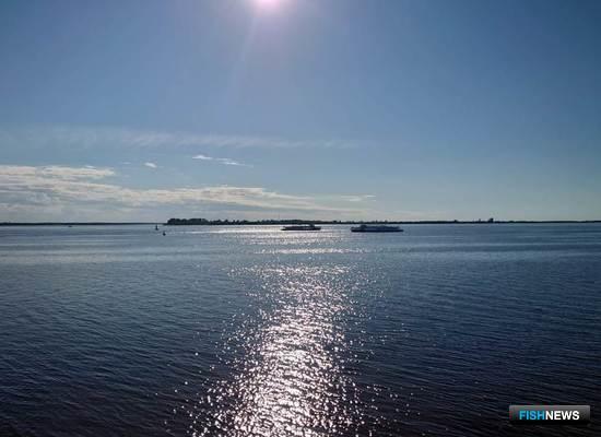 Российскую экономику собираются «озеленить» Российскую экономику собираются «озеленить»