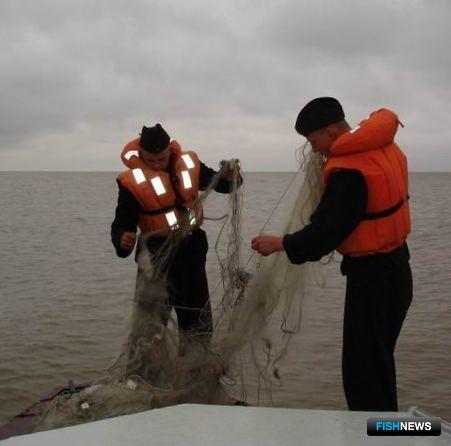 Морское браконьерство &mdash; что делать дальше?