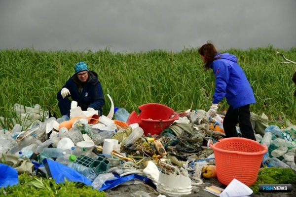 На Южной Камчатке проанализируют морской мусор