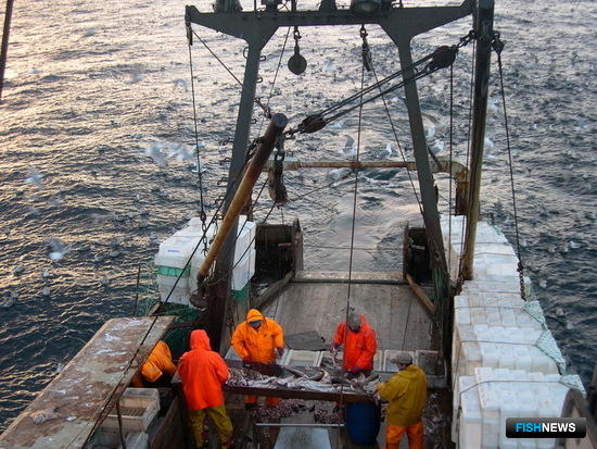 У рыбаков Севера &mdash; новая проблема