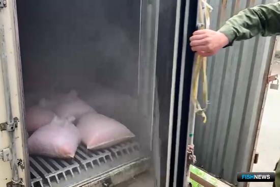 Пограничники Приморья собрали «урожай» краба и креветки Пограничники Приморья собрали «урожай» краба и креветки