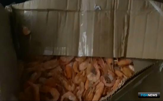 Пограничники Приморья собрали «урожай» краба и креветки Пограничники Приморья собрали «урожай» краба и креветки