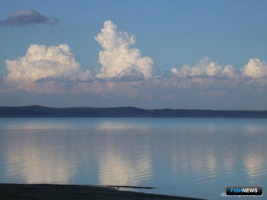 Даурскому заповеднику угрожает стройка в Монголии Даурскому заповеднику угрожает стройка в Монголии